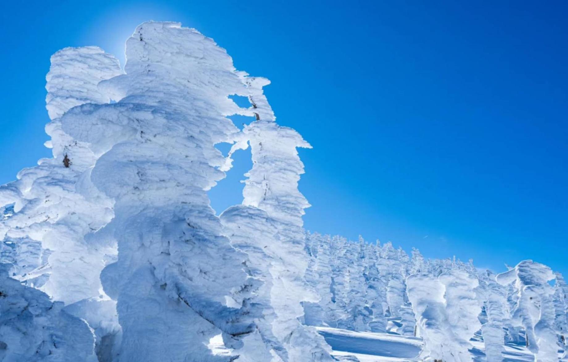 Snowfall Meteor 飛雪流星 Kaminoyama Buitenkant foto