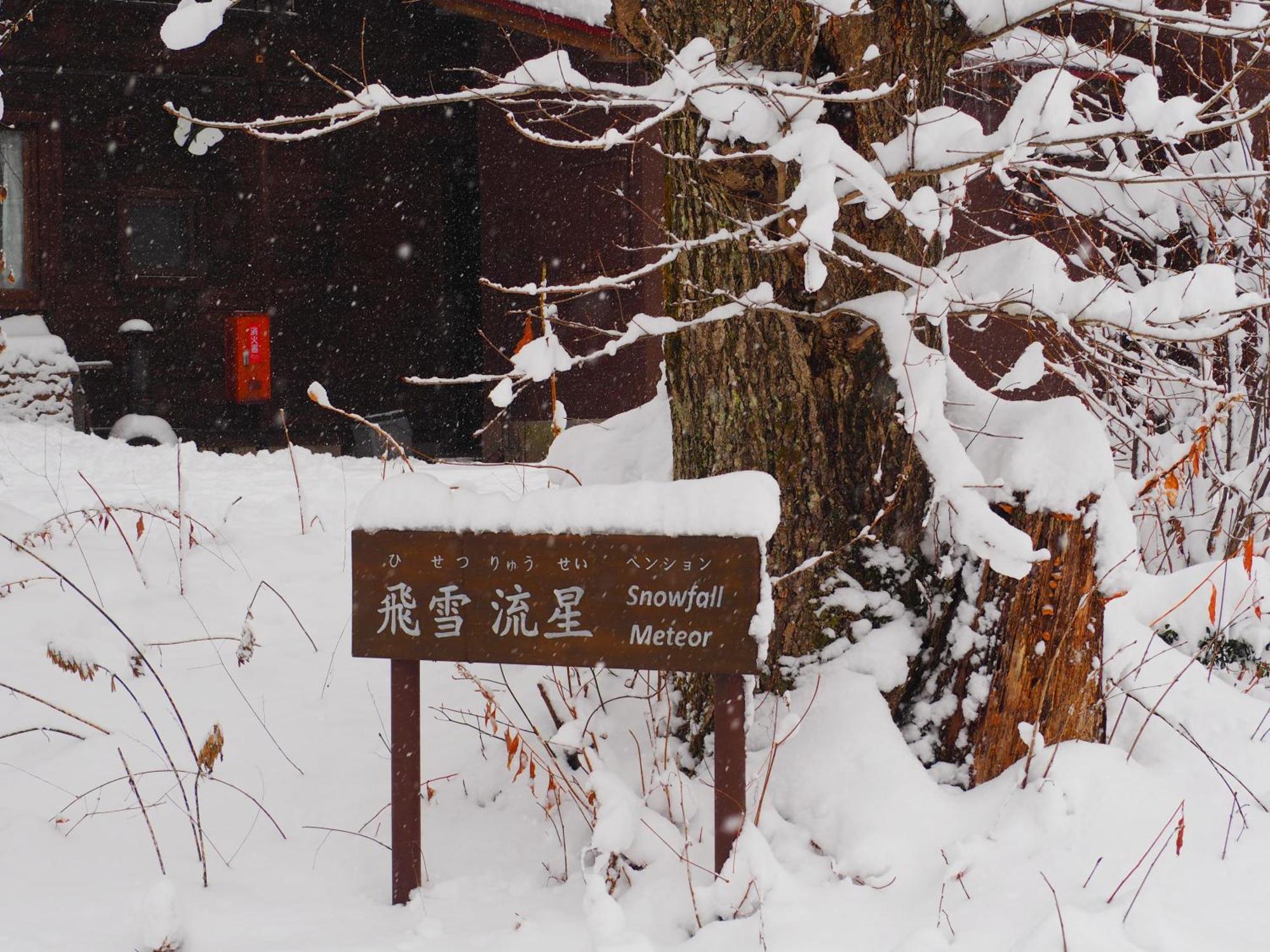 Snowfall Meteor 飛雪流星 Kaminoyama Buitenkant foto